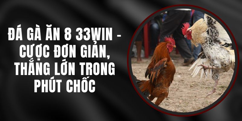 Đá Gà Ăn 8 33WIN - Cược Đơn Giản, Thắng Lớn Trong Phút Chốc