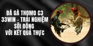 Đá Gà Thomo C3 33WIN - Trải Nghiệm Sôi Động Với Kết Quả Thực